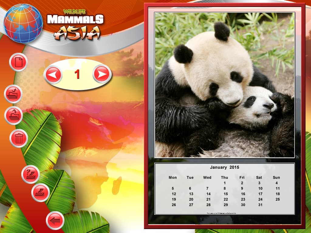 Wildlife Creative Studio