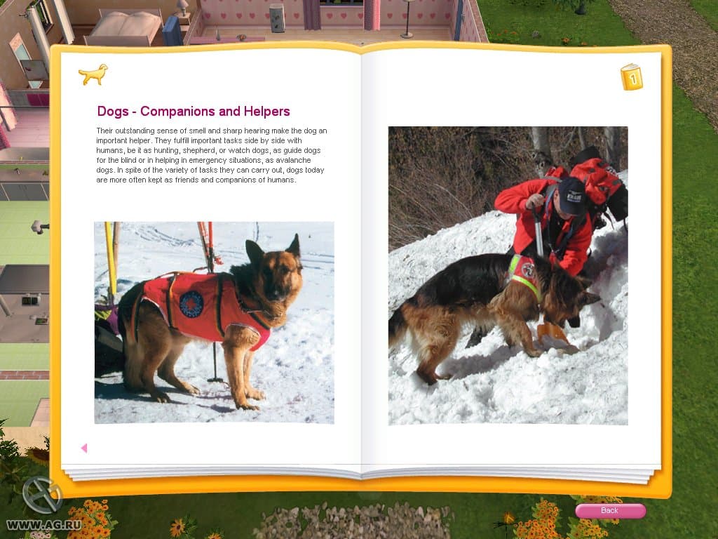 Pet Vet 3D: Animal Hospital